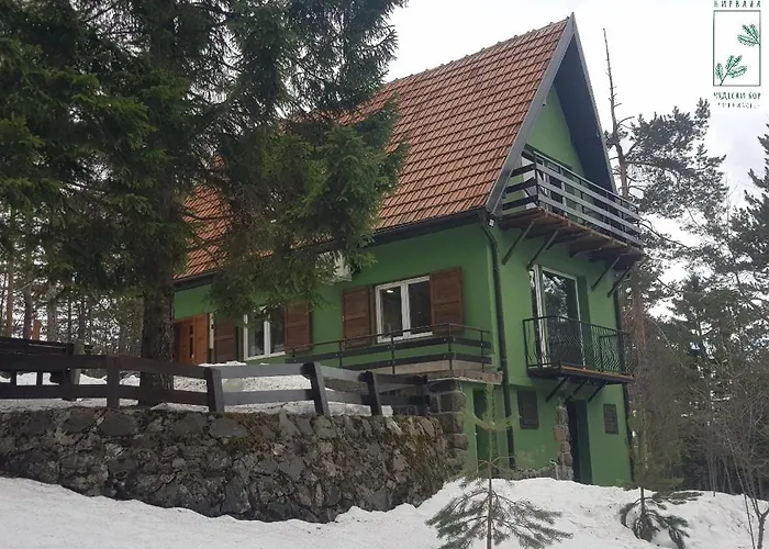 Nirvana Cudesni Bor *