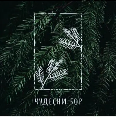 Nirvana Cudesni Bor Вилла Дивчибаре